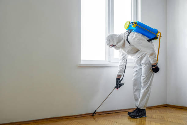 Trusted Smiths Station, AL Pest Control Experts