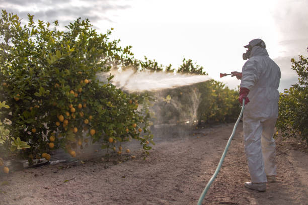 Best Insect Control  in Smiths Station, AL