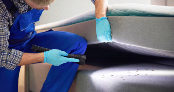 Best Affordable Pest Control Services  in Smiths Station, AL
