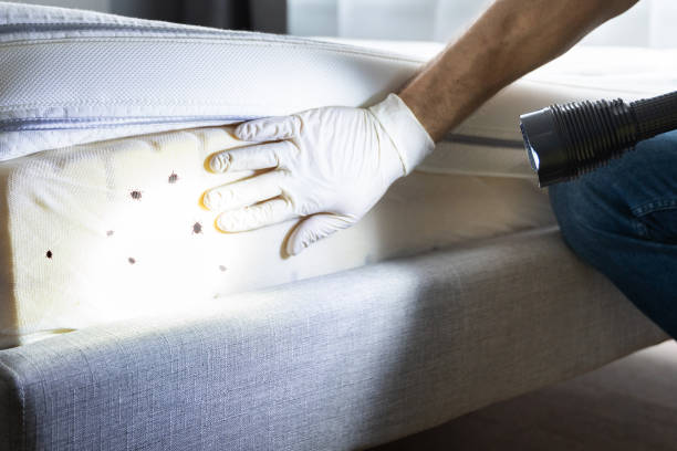 Best Wildlife Control Services  in Smiths Station, AL