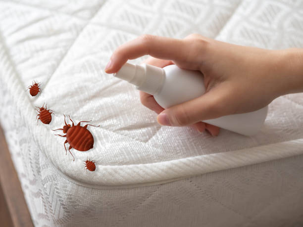 Best Residential Pest Control  in Smiths Station, AL