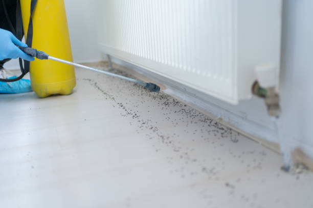 Best Mosquito Control Services  in Smiths Station, AL
