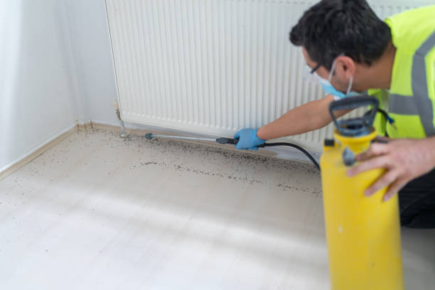 Best Affordable Pest Control Services  in Smiths Station, AL